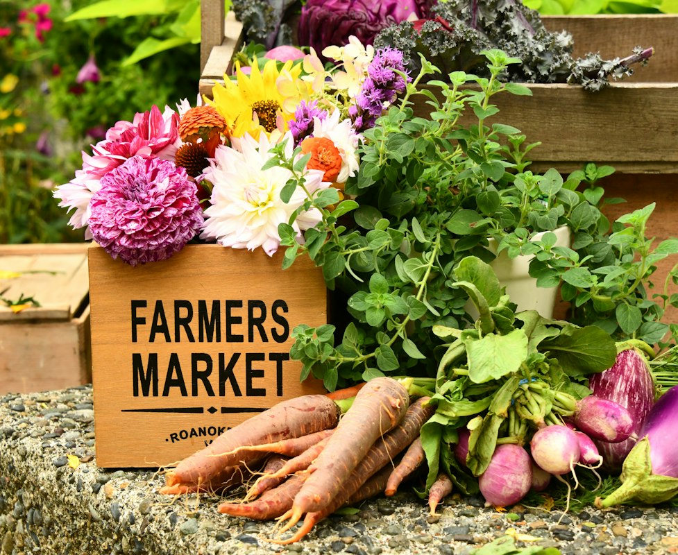 Guide de sélection des fruits et légumes